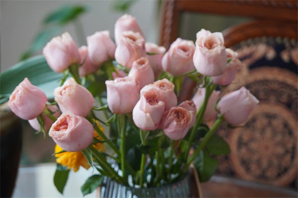 微信图片_2026-02-09_130956_748.jpg 微信图片_2026-02-09_130956_748.jpg