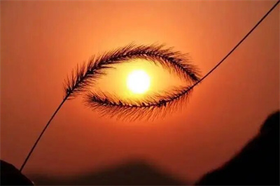 微信图片_2026-03-27_091553_199.jpg 微信图片_2026-03-27_091553_199.jpg