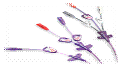 1493962897638957.gif Bard? Power PICC Catheter single-dual-triple
